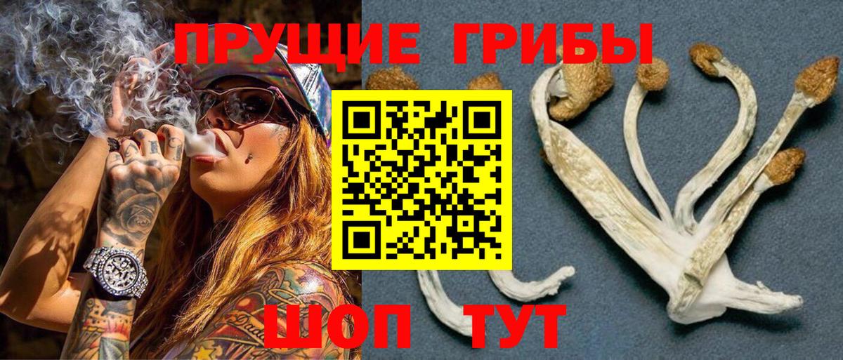 где купить наркотик  Вход с VPN  Мурино  Галлюциногенные грибы мицелий 